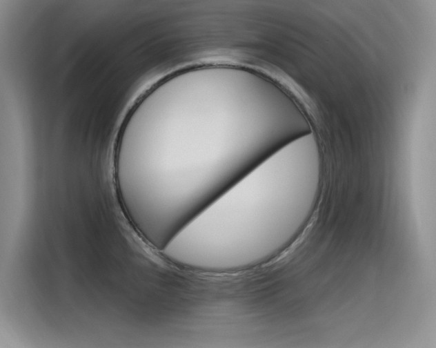 X0000115611240200911100925