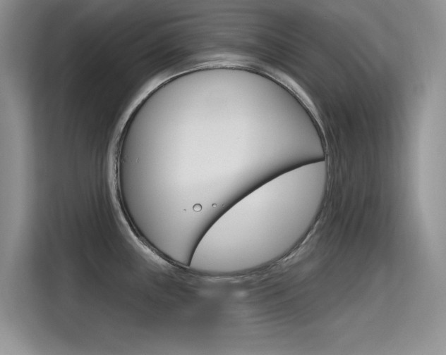 X0000115611243200911100925