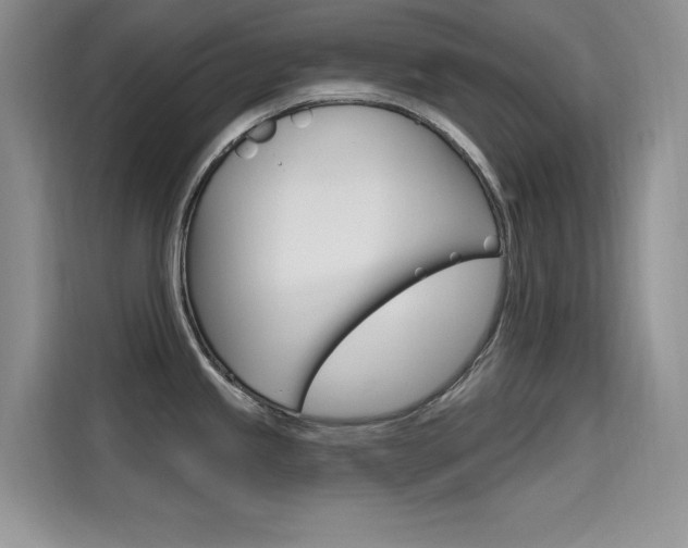 X0000115611245200911100925