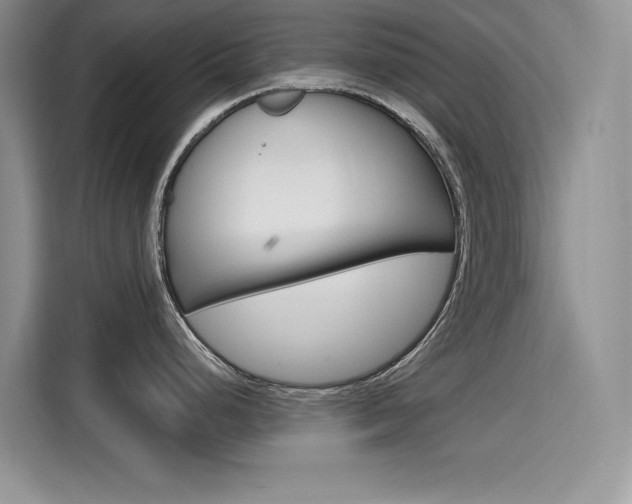 X0000115611248200911100925