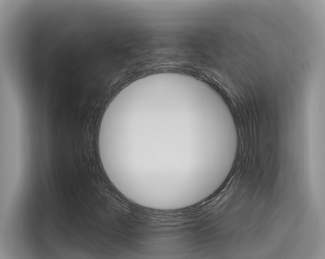 X0000115611252200911100925