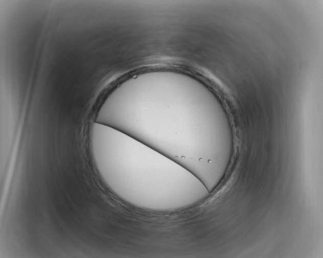 X0000115611259200911100924