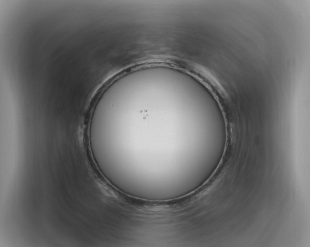 X0000115611260200911100924