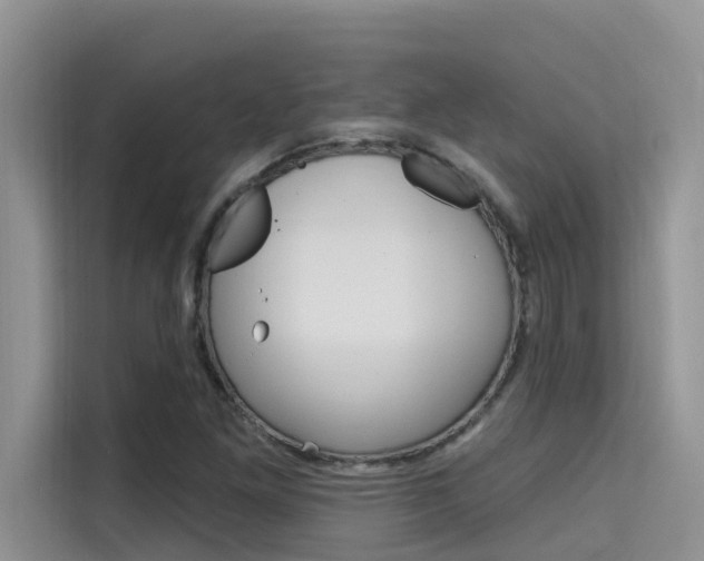 X0000115611261200911100924