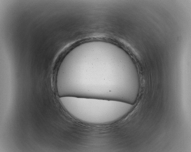 X0000115611262200911100924
