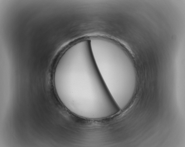 X0000115611263200911100924