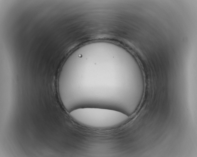 X0000115611265200911100924