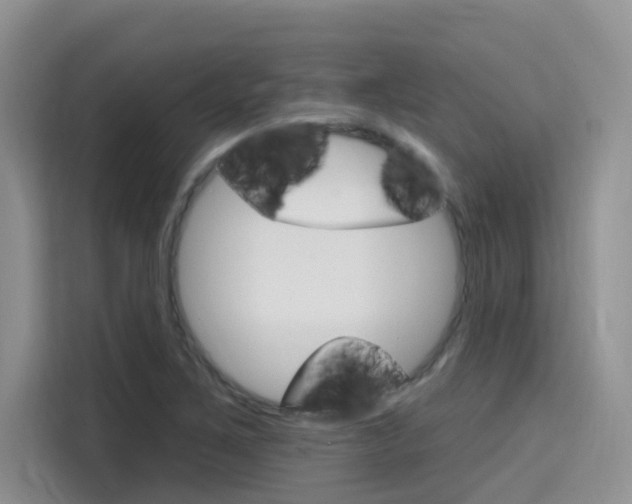 X0000115611267200911100924