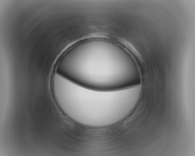X0000115611268200911100924
