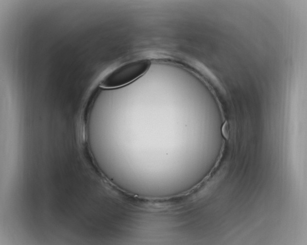 X0000115611269200911100924