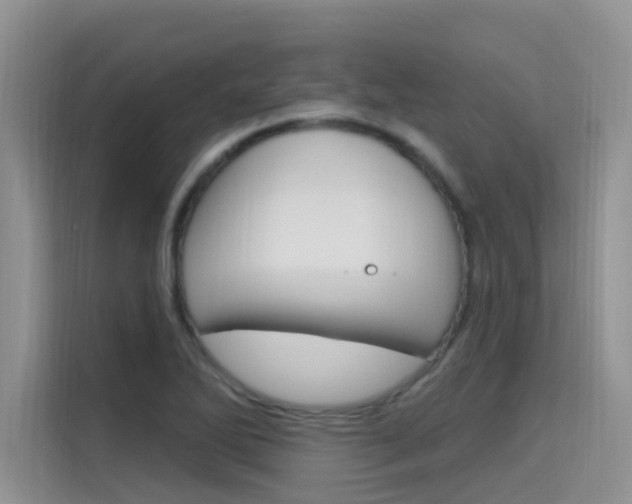 X0000115611270200911100924