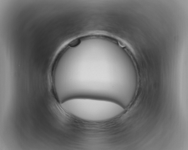 X0000115611271200911100924