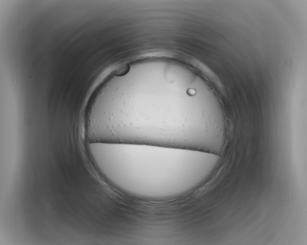 X0000115611274200911100924