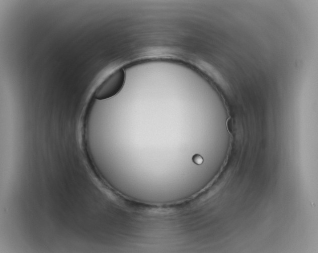 X0000115611277200911100924