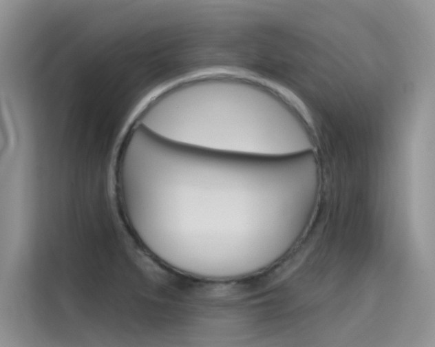 X0000115611279200911100924