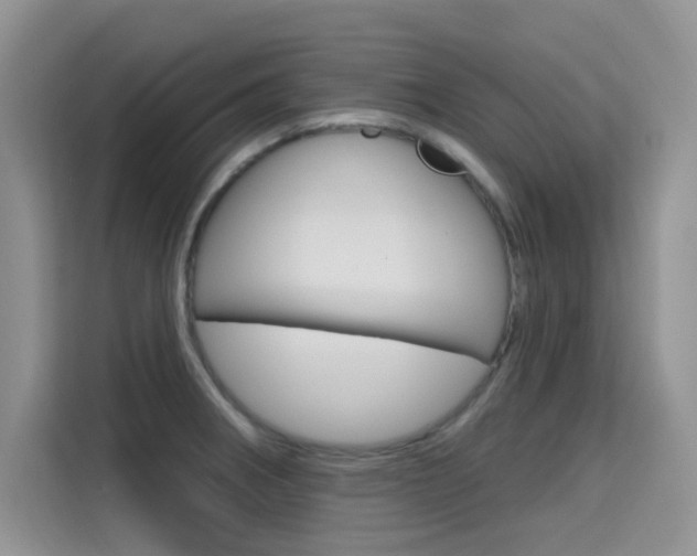 X0000115611282200911100924
