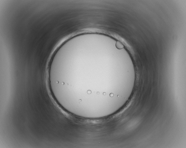 X0000115611286200911100924