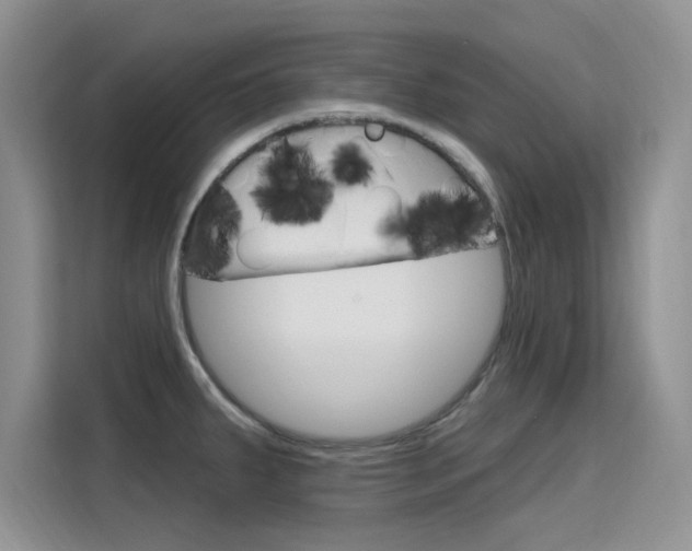 X0000115611287200911100924