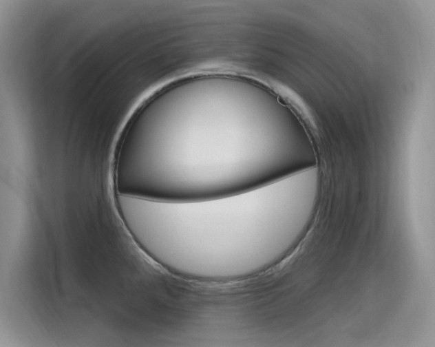 X0000115611288200911100924