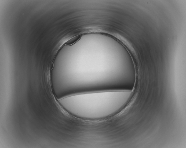 X0000115611289200911100924