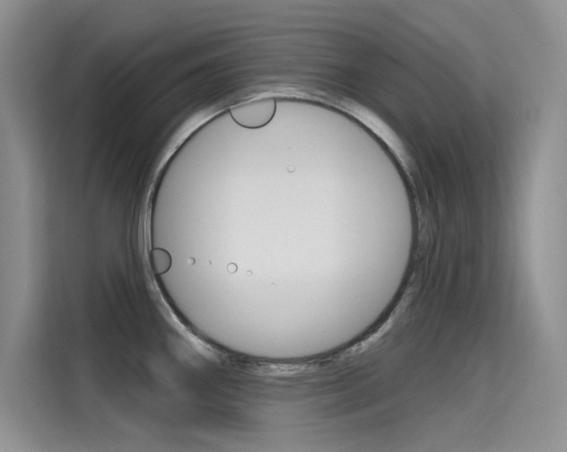 X0000115611290200911100924