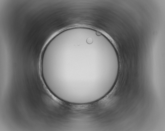 X0000115611294200911100924