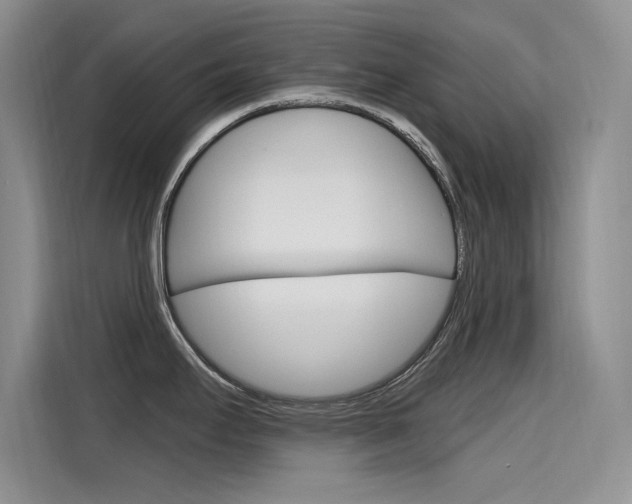 X0000115611295200911100924