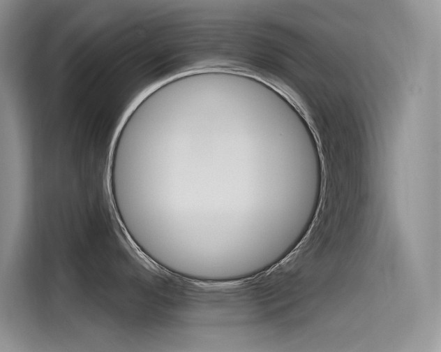 X0000115611296200911100924