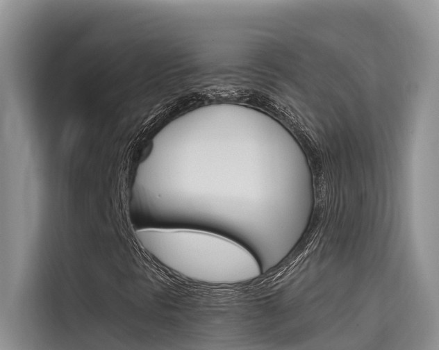X0000115611297200911100923