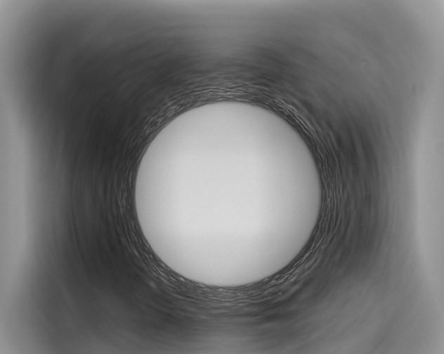 X0000115611298200911100923
