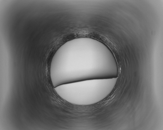 X0000115611299200911100923
