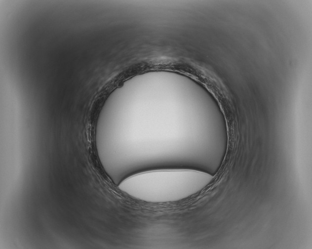 X0000115611301200911100923
