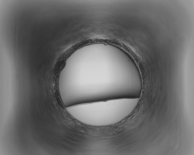 X0000115611303200911100923