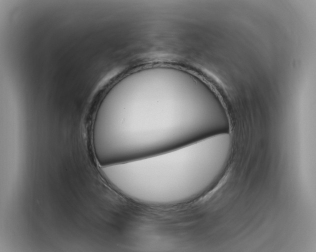 X0000115611309200911100924