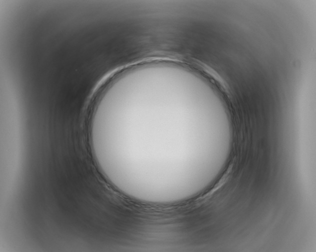X0000115611310200911100924