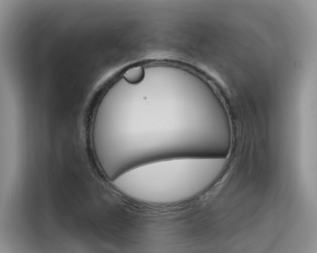 X0000115611311200911100924