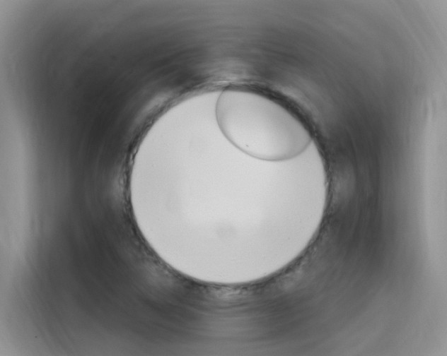 X0000115611314200911100924
