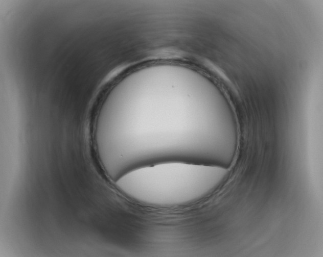 X0000115611315200911100924