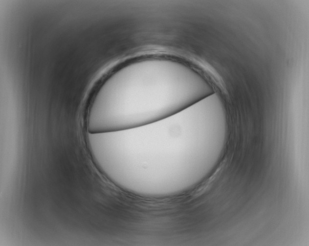 X0000115611318200911100924