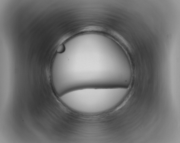 X0000115611321200911100924