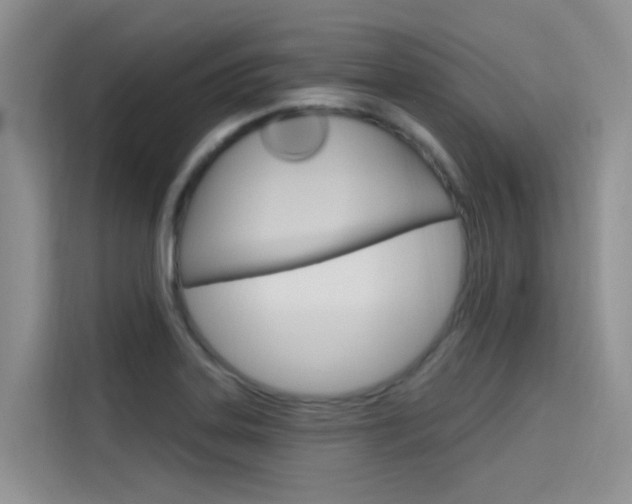 X0000115611323200911100924