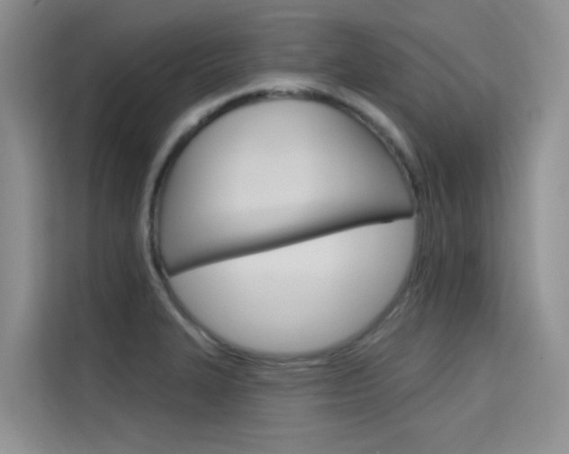 X0000115611327200911100924