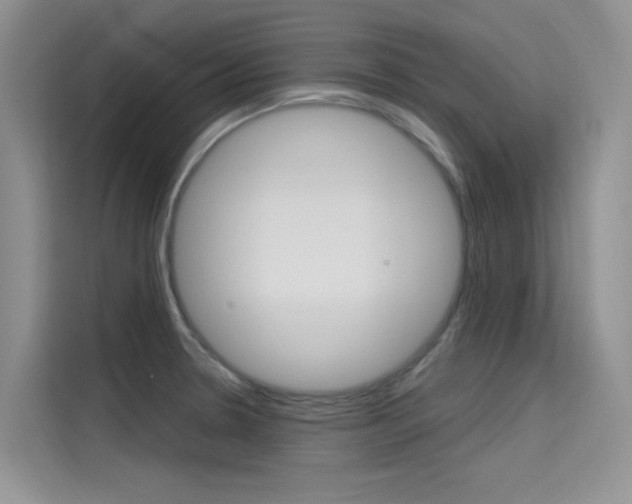 X0000115611330200911100924