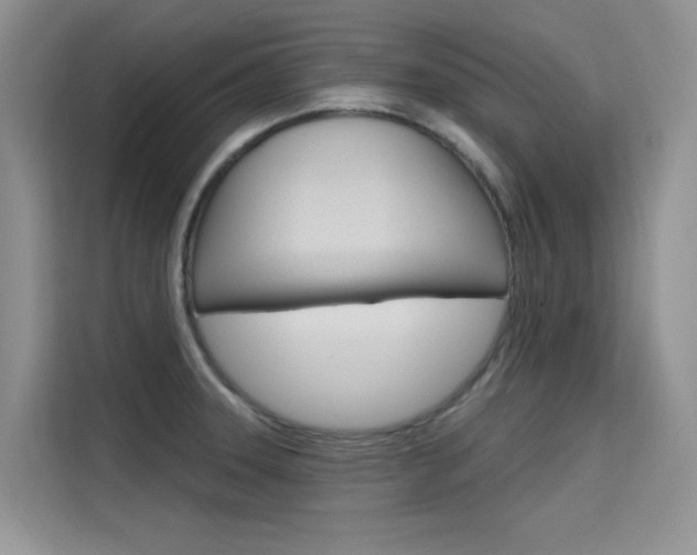 X0000115611331200911100924