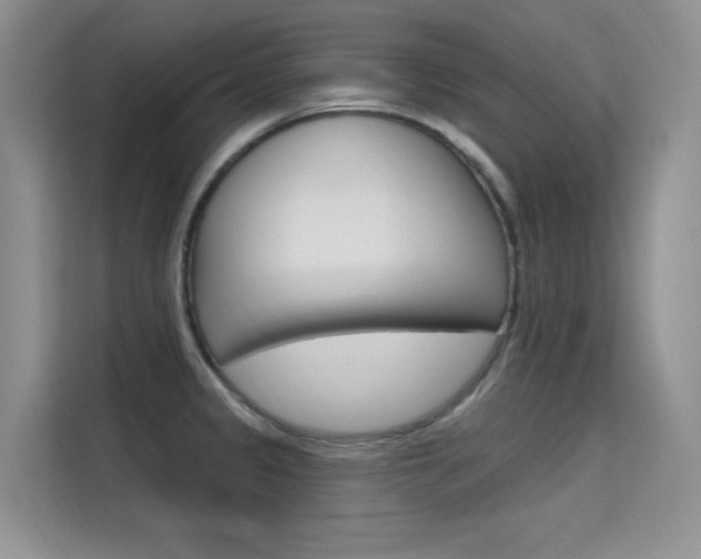 X0000115611333200911100924