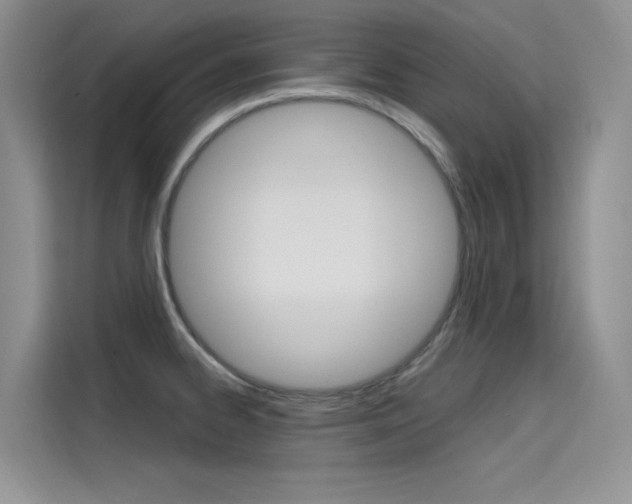 X0000115611334200911100924