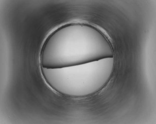 X0000115611335200911100924