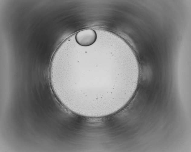 X0000115611338200911100924