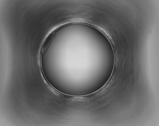 X0000115611342200911100924
