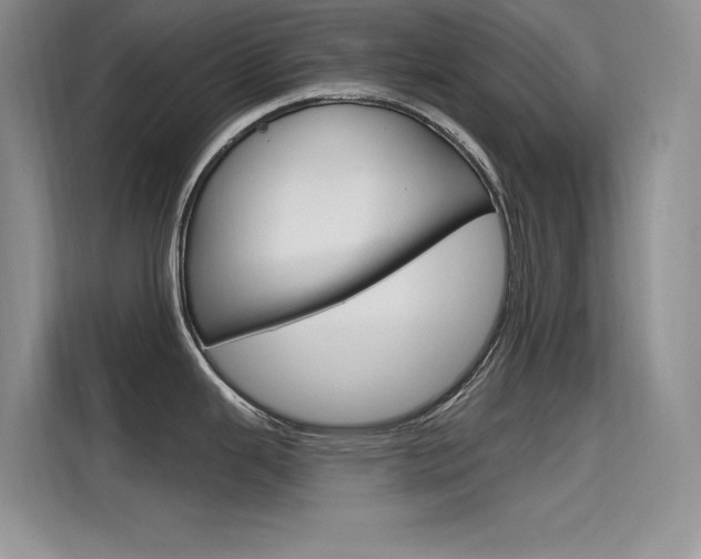 X0000115611343200911100924